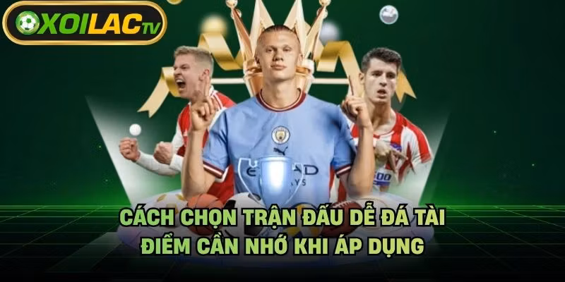Cách Chọn Trận Đấu Dễ Đá Tài – Điểm Cần Nhớ Khi Áp Dụng