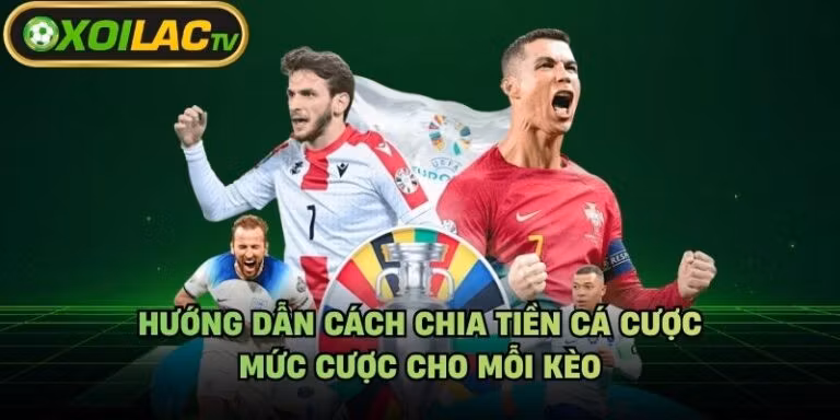 Hướng Dẫn Cách Chia Tiền Cá Cược - Mức Cược Cho Mỗi Kèo