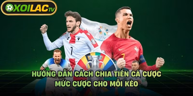 Hướng Dẫn Cách Chia Tiền Cá Cược – Mức Cược Cho Mỗi Kèo