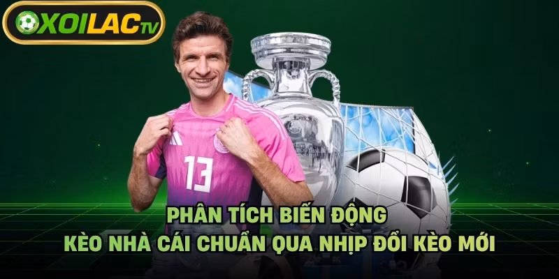 Phân Tích Biến Động Kèo Nhà Cái Chuẩn Qua Nhịp Đổi Kèo Mới