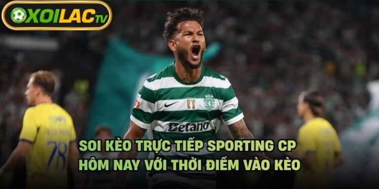 Soi Kèo Trực Tiếp Sporting CP Hôm Nay Với Thời Điểm Vào Kèo