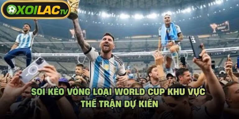 Soi Kèo Vòng Loại World Cup Khu Vực - Thế Trận Dự Kiến